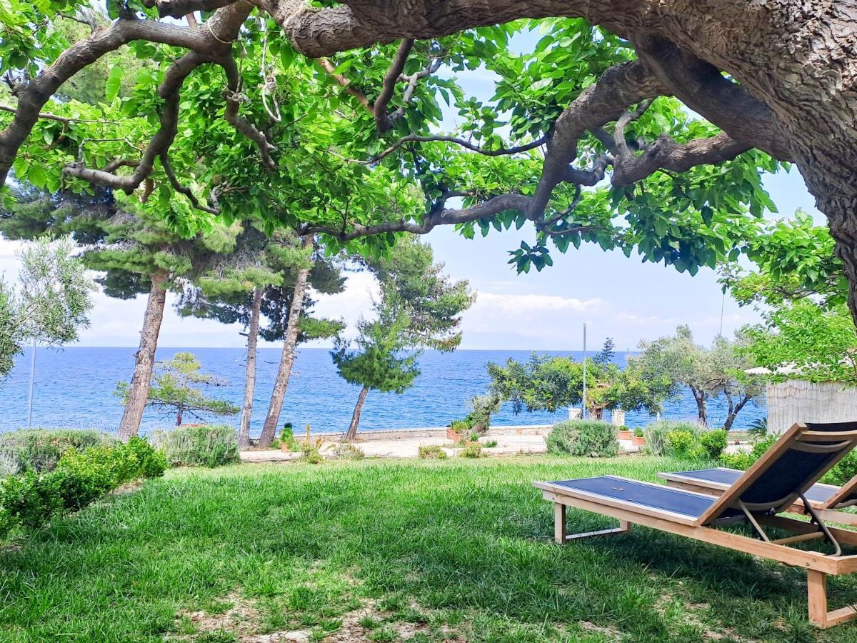 Nama Beach House Arkadiko Chorio 외부 사진