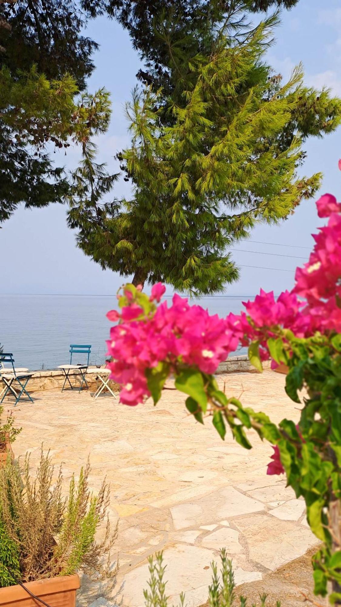 Nama Beach House Arkadiko Chorio 외부 사진