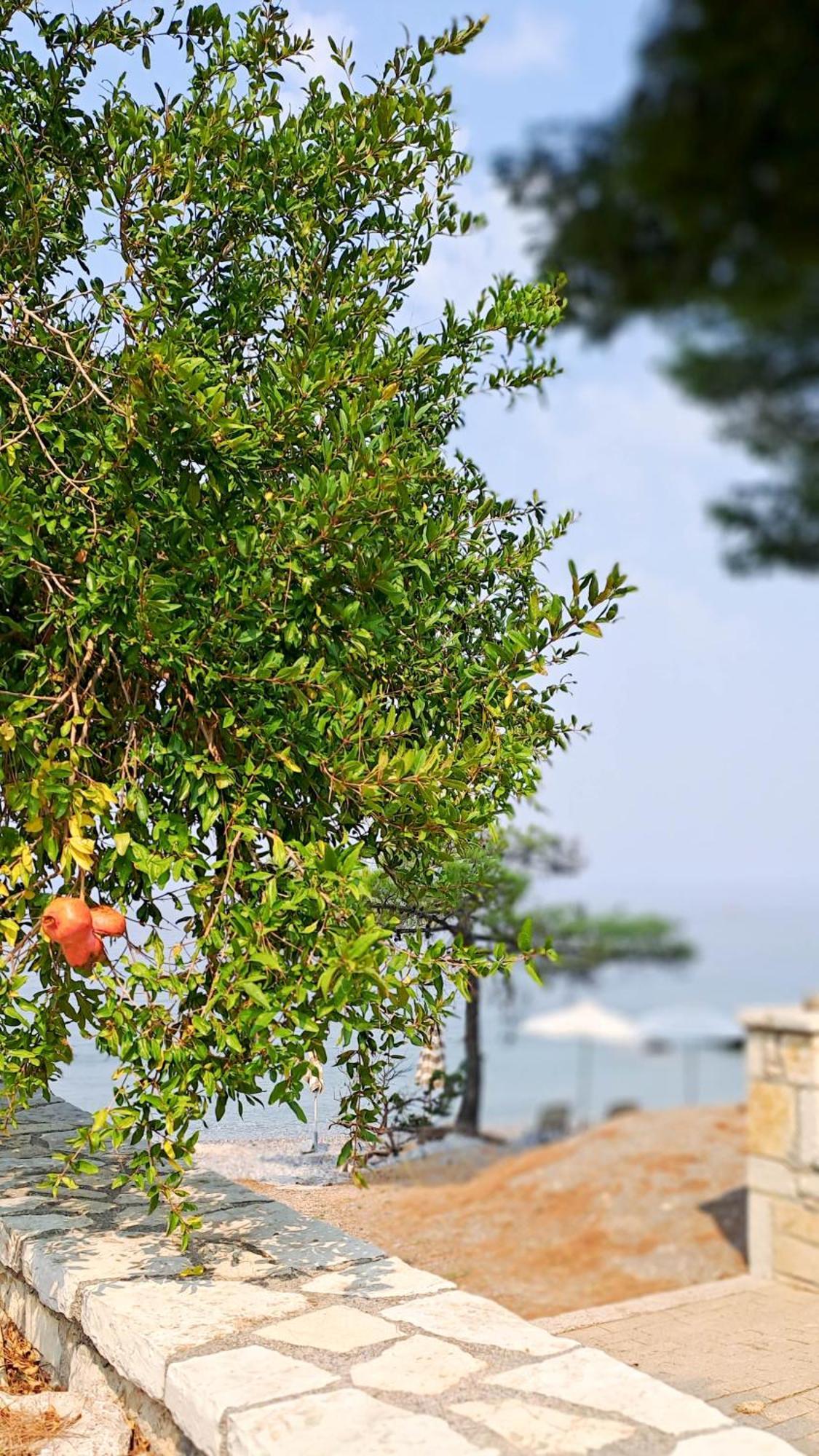 Nama Beach House Arkadiko Chorio 외부 사진